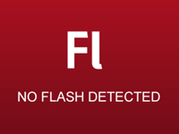 No flash detected