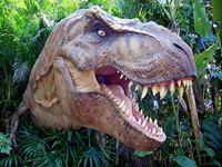 Tyrannosaurius rex
