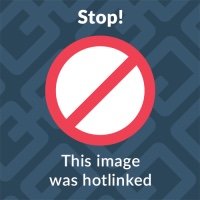 Stop! 🚫 This image was hotlinked