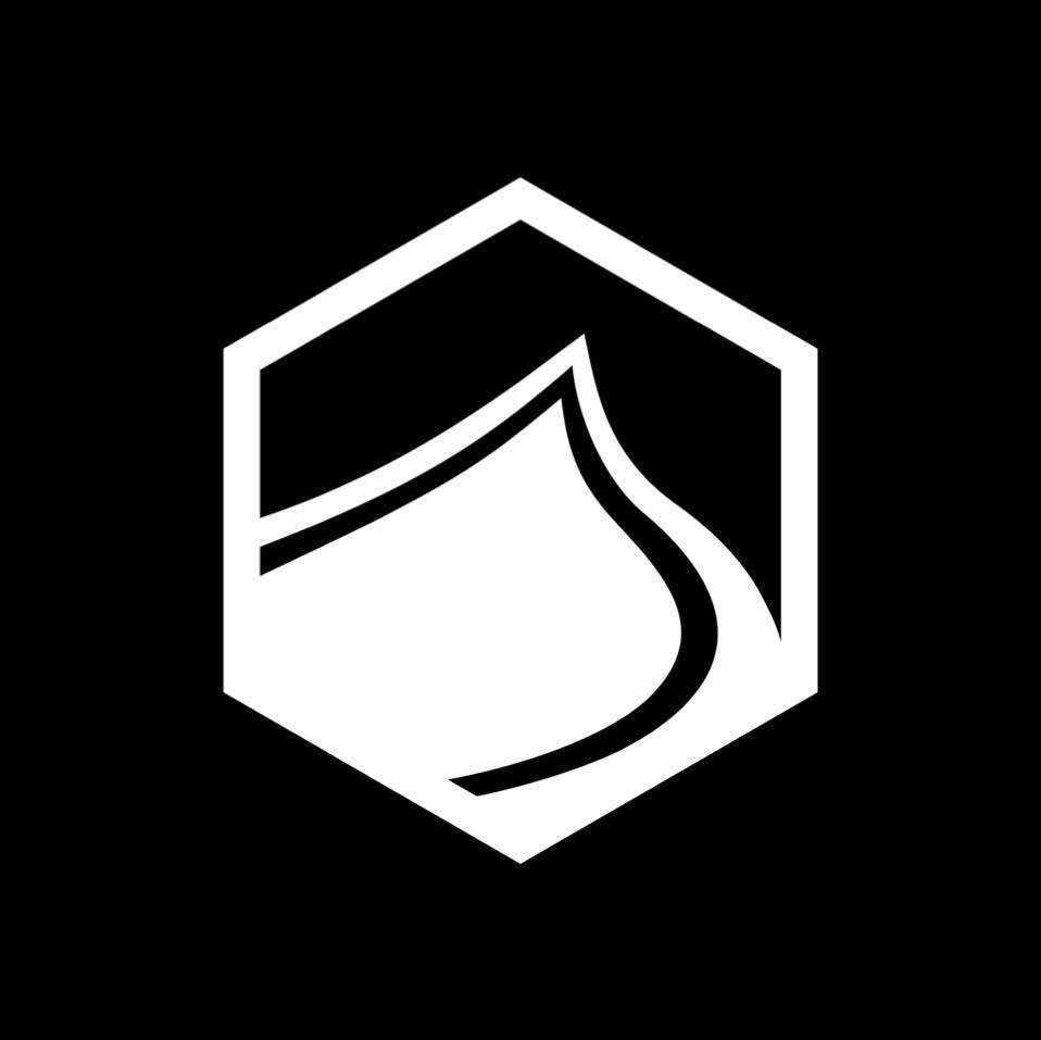 Logotyp för LIQUID FORCE