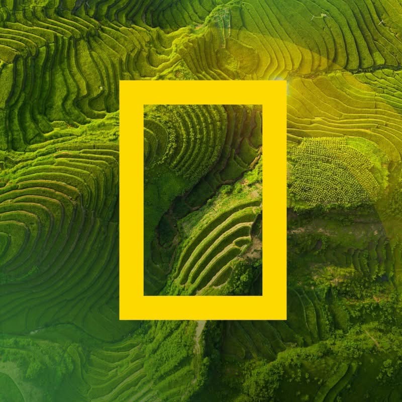 Ikon med logotyp för NATIONAL GEOGRAPHIC Ikon med logotyp för NATIONAL GEOGRAPHIC