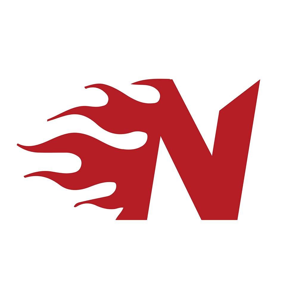 Logotyp för NICOLA TOY